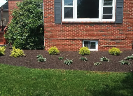Landscape Design